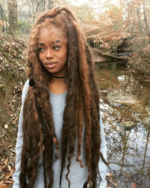 zektheterrible:These are the prettiest locs I’ve ever seen fr