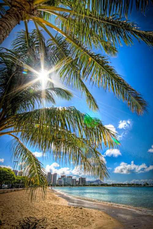 tropicaldestinations:  Sunny Ala Moana, Oahu, Hawaii (by Harold Herradura) - Tropical Destinations  