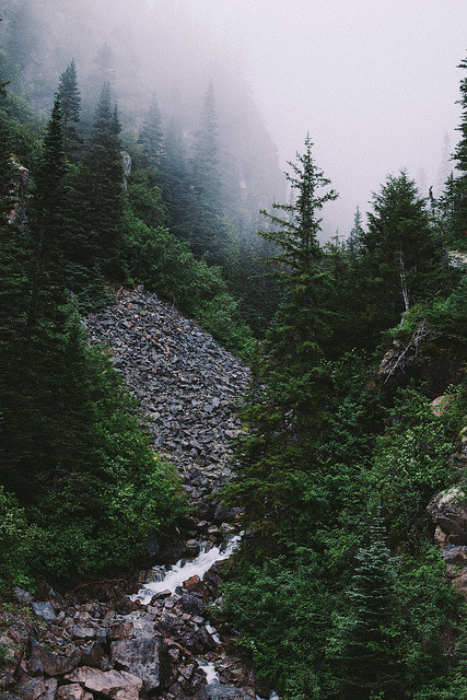 ordinair:  vintage/nature blog  