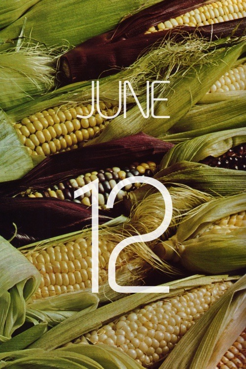 gardencalendar:Corn“Corn” as a word has meant many things. Originally it meant any hard particle or 