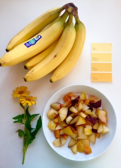 fhlowerz:  yellowalls: Yellow things in my kitchen // 11:35 am   