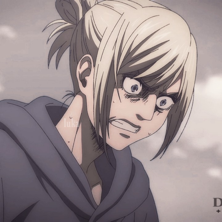 images Annie Leonhart Aot Aesthetic Pfp Γ₯ luka annie leonhart icons