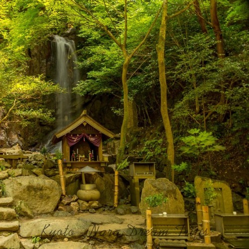 kyotodreamtrips:Momono-o Falls in Tenri City, Nara Prefecture-Japan.View of Momono-o Falls (桃尾の滝) al