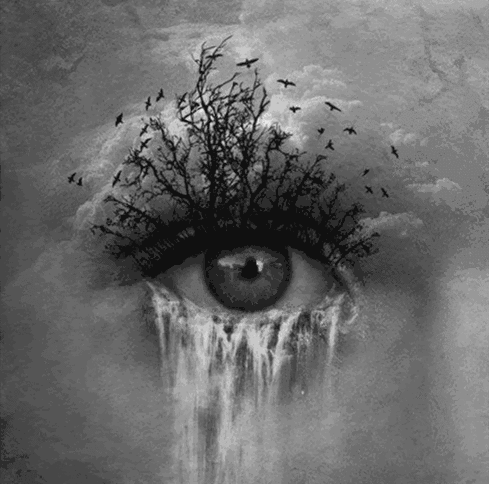 gethighlikethesky:  .~