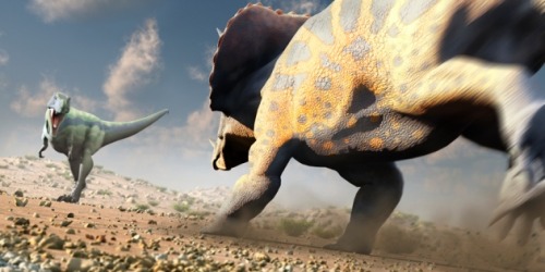 science-junkie: Dinosaur-killing asteroid hit at just the wrong time Animals might have survived if 