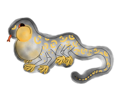 An eight-legged amphibian with black skin covered in yellow rosettes. Its cheeks and throat sac are inflated, and it looks quite cheerful about it. It has red eyes, a forked tongue, and a long tail.