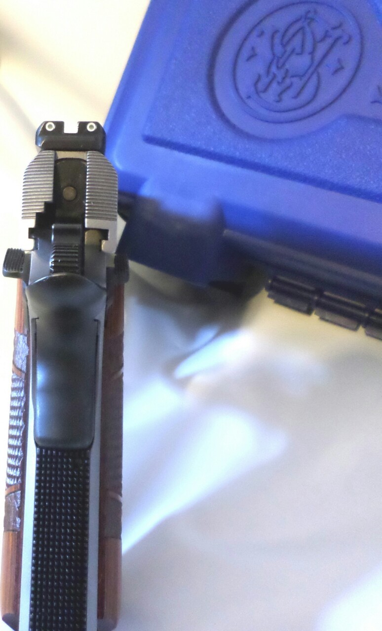 badger-actual:  S&amp;W 1911TA