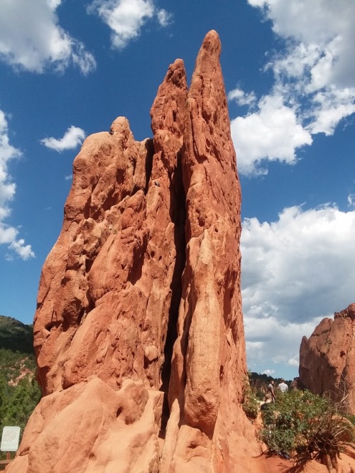 child-of-the-renaissance:Garden of the Gods