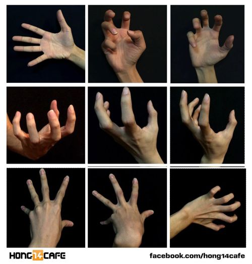 badass-art-tutorials: forzamentis:  Fantastic hands references by the website Hong14cafe. Hong14cafe