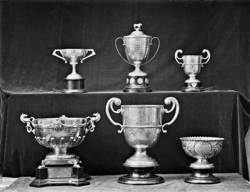 Trophies for the prettiest cows and horses in the show? by National Library of Ireland on The Common