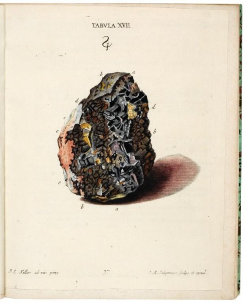 Johann Michael Seligmann, Fossilium Metalla et Res Metallicas – Erz Stüffen und Berg Arten mit Farbe