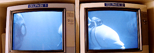 wesandersonfans:  The Life Aquatic with Steve Zissou (2004). 