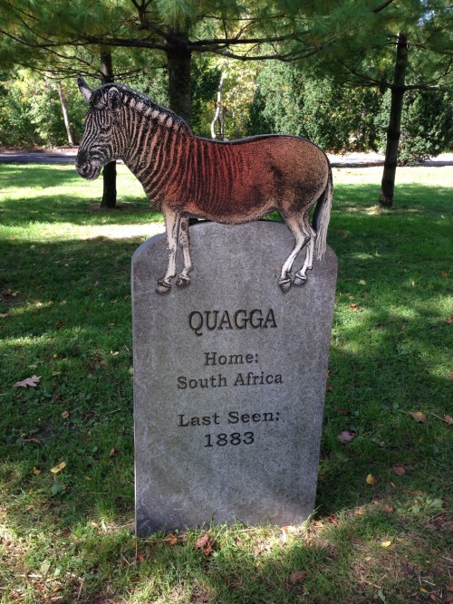 sixth-extinction:This is the Extinct Species Graveyard at the Bronx Zoo in New York. The only “gravestone” not included in this post is that of the Labrador Duck.I was very pleased to find this little display at the zoo even though some of the dates