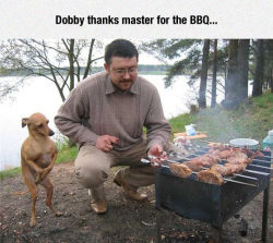 advice-animal:  Elves Love Barbecues.http://advice-animal.tumblr.com/