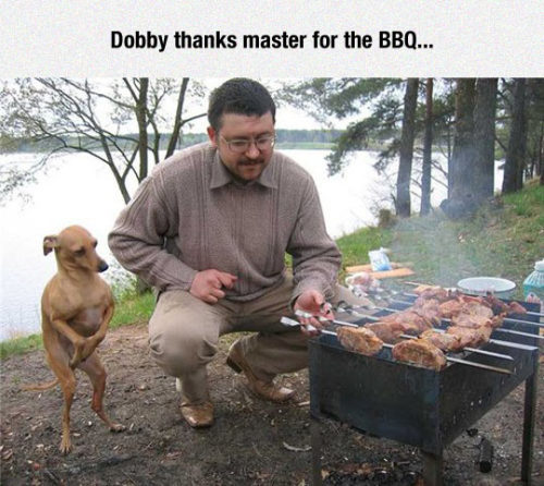 Porn advice-animal:  Elves Love Barbecues.http://advice-animal.tumblr.com/ photos