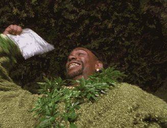 blondebrainpower:  Dave Chapelle as Thurgood Jenkins a.k.a. Sir Smoke-a-Lot in Half Baked, 1998