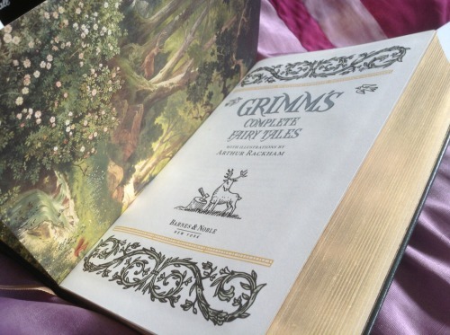 acrossmyfictionaluniverse:  Barnes and Nobel Leather bound Classics <3