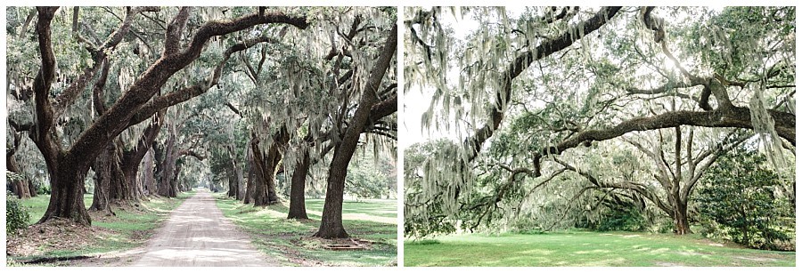 huspa plantation wedding photography charleston