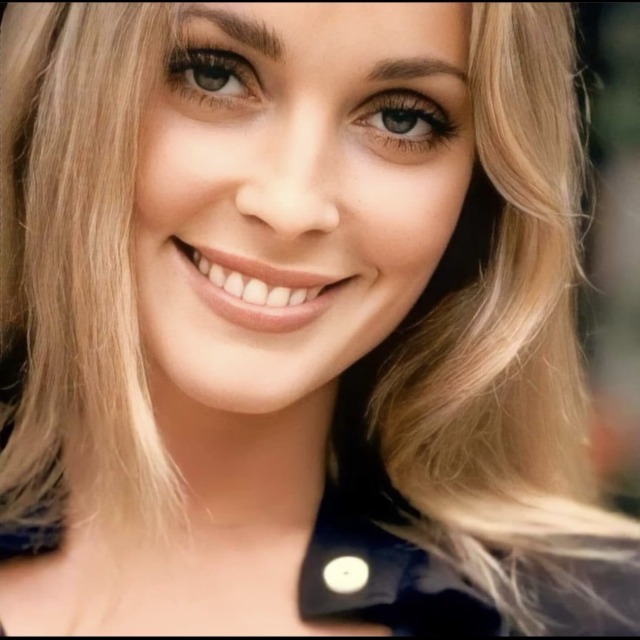 Sharon Tate photographed by @ellengrahamphotography in Beverly Hills, California🌻🌻🌻
Via @polanskisharontate on Instagram🌻