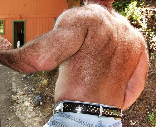 thebigbearcave:  10 Degrees of Random Awesomeness 