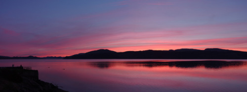 Lovely and summery-feeling on Loch Fyne last Sunday night.