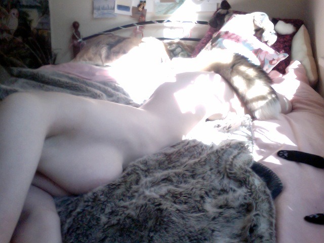 girls-with-tails: nothing beats warm, dappled morning sun on bare skin 