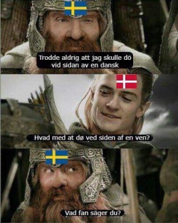 thehumon: I don’t know how many Swedes follow me, but I HAD to share this. (To be fair, Danes don’t understand Swedes either)  Gimli (in Swedish): I never thought I’d die next to a Dane.  Legolas (in Danish): How about dying next to a friend?  Gimli