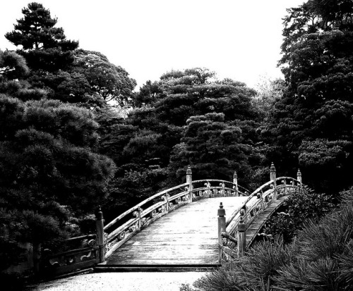 Palace Gardens 京都御所