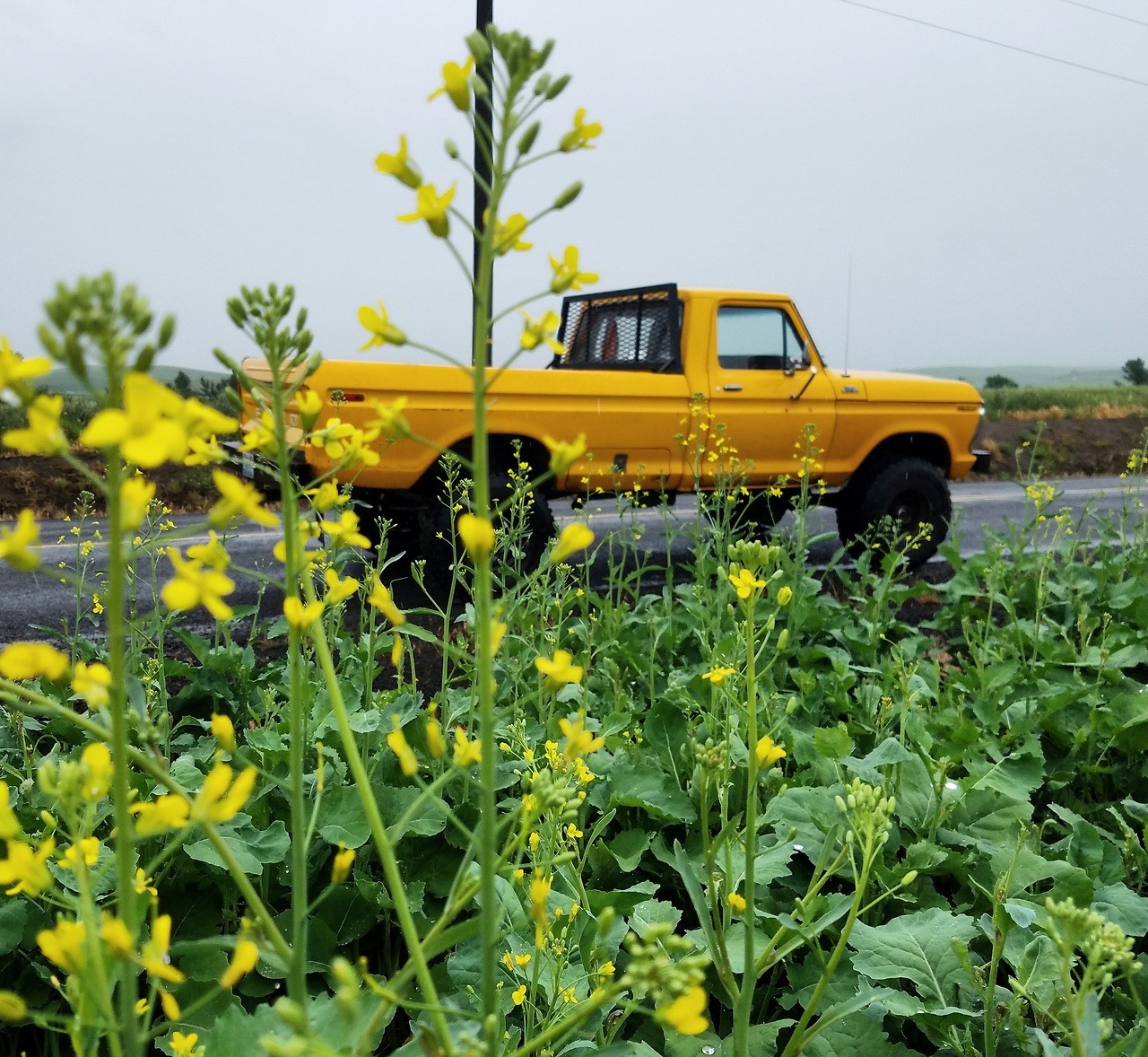rusty-ford:Yellow 💛