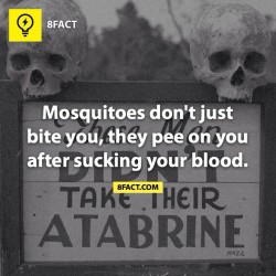 9gag:  F**k you mosquitoes! Via @8factapp