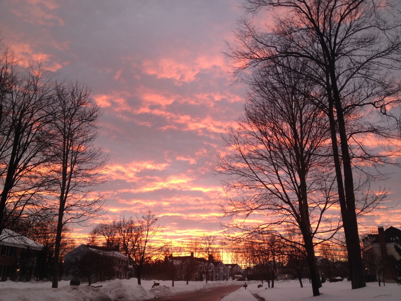softwaring:  i always walk my dog when the sun is supposed to set so i can admire