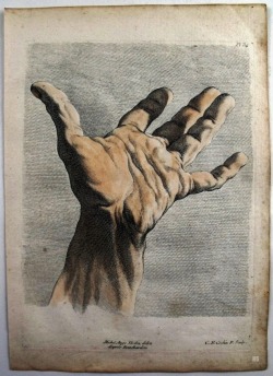 Hand Study. 1751. Charles Nicolas Cochin.