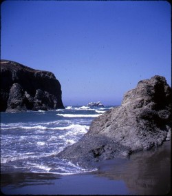 twoseparatecoursesmeet:  Oregon Beach, 1950s