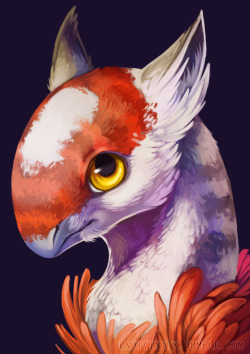 endivinity:  Birdplane :U Based her off a budgie so she’s patchy and adorable