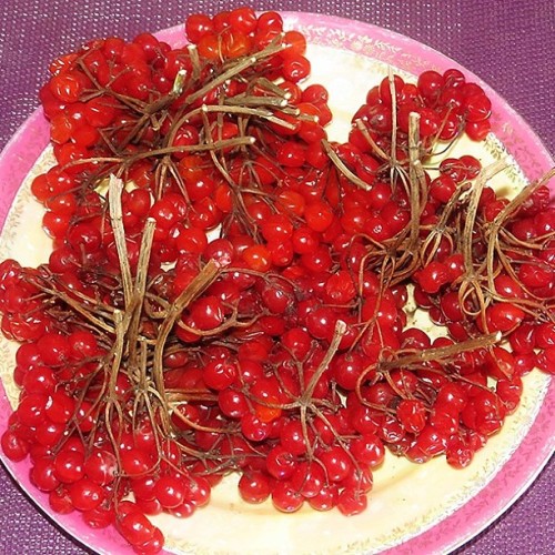  :) I Love It Taste & Color #guelder #kalina #viburnum #snowball