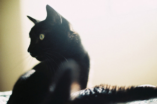 convexly: untitled by Sarita Lolita on Flickr.