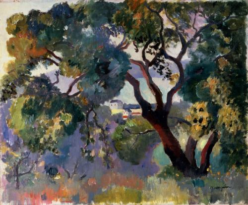 geritsel: Henri Manguin - Landscape in Saint-Tropez, 1905.