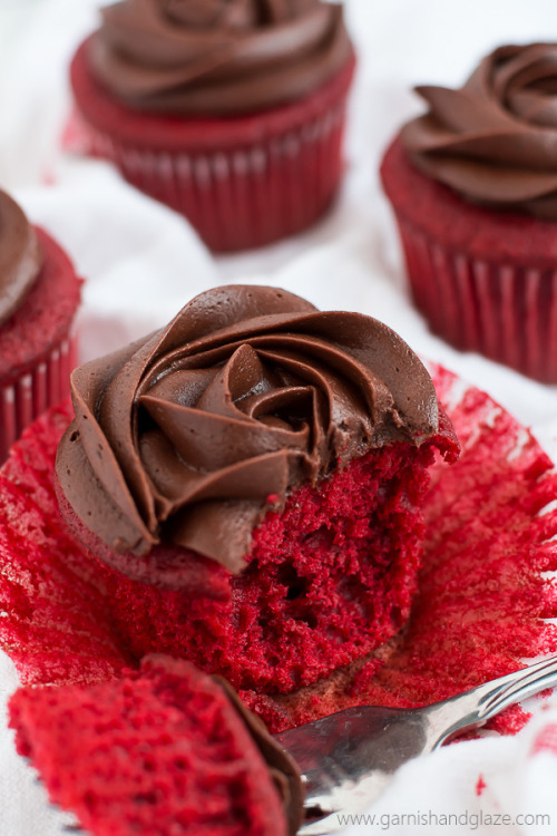 ugly–cupcakes:    chocolate rose red velvet porn pictures