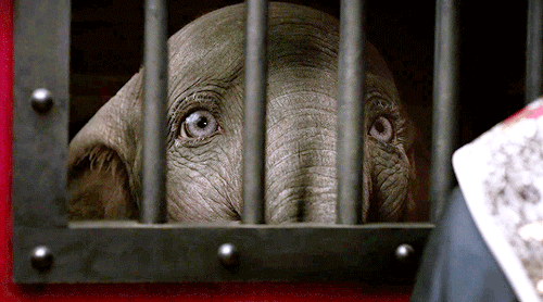 madeline-kahn:Dumbo (2019) dir. Tim Burton2/20/21Movie date with my Daddybear @kitten-sdaddybear