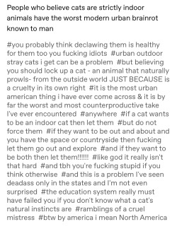 headspace-hotel:soursorrel:headspace-hotel:headspace-hotel:scoutandcowpany:🤨My standard response to this is always one or all of the following: Do you know what a botfly is? Do you want to? (You don’t.) I had outdoor cats for almost all of my