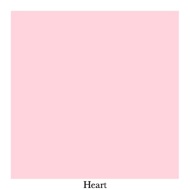 ♥ 