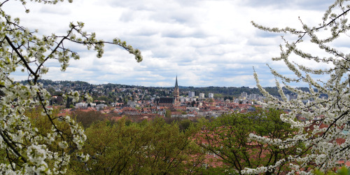 SpringGraz, Austria, April 2016. © 2016 Giulia Caleca. All rights reserved.