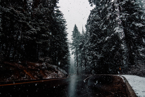 jasonincalifornia:Winter Wonderland Dreaming - Sequoia National ParkSociety6/Prints