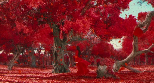 timotaychalamet:“Since you wish to die, I will assist you.”Hero (2002) dir. Zhang Yimou