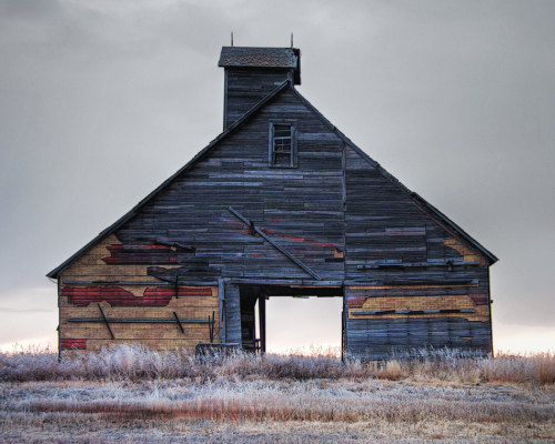I would love to finish my basement with old barn wood.