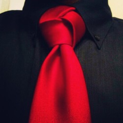 tieenthusiast:  tieenthusiast:  knotted-up: