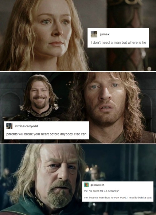 iwouldvebeendrake01: lord of the rings + text posts