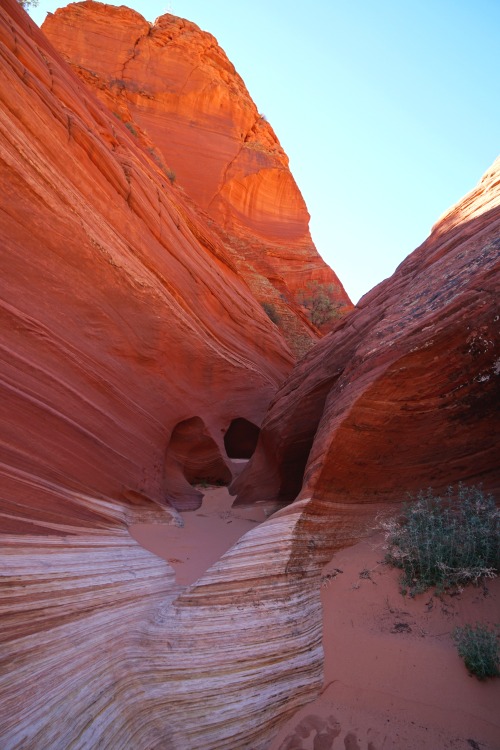 dramoor: “The way of the desert teaches us how to pray: how to stand before God, how to speak to God