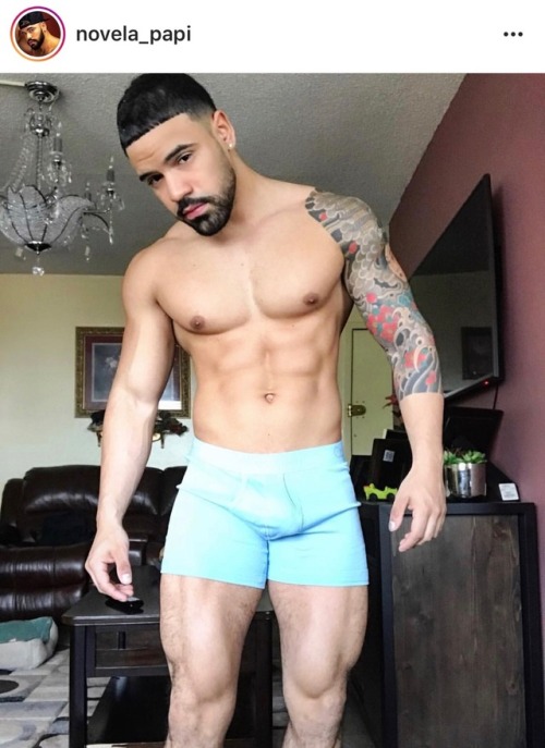 Vinny Guadagnino Bulge