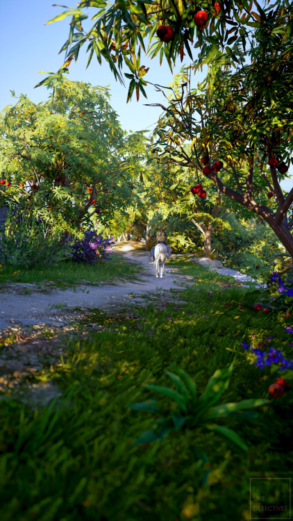 ilikedetectives:AC: Odyssey Sceneries - Ancient Greece